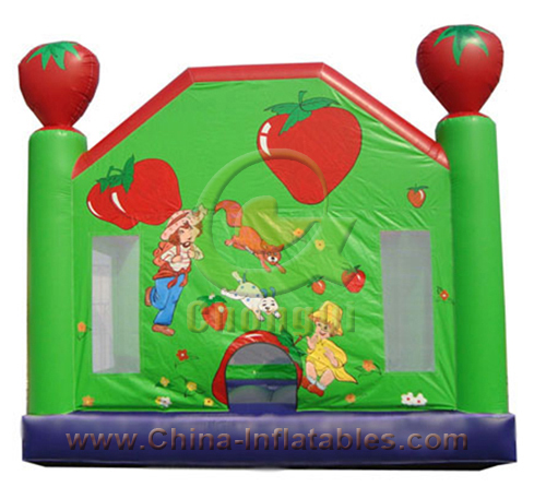 inflatable dora bouncer